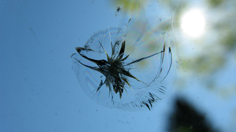 Image of Glass Chip Repair